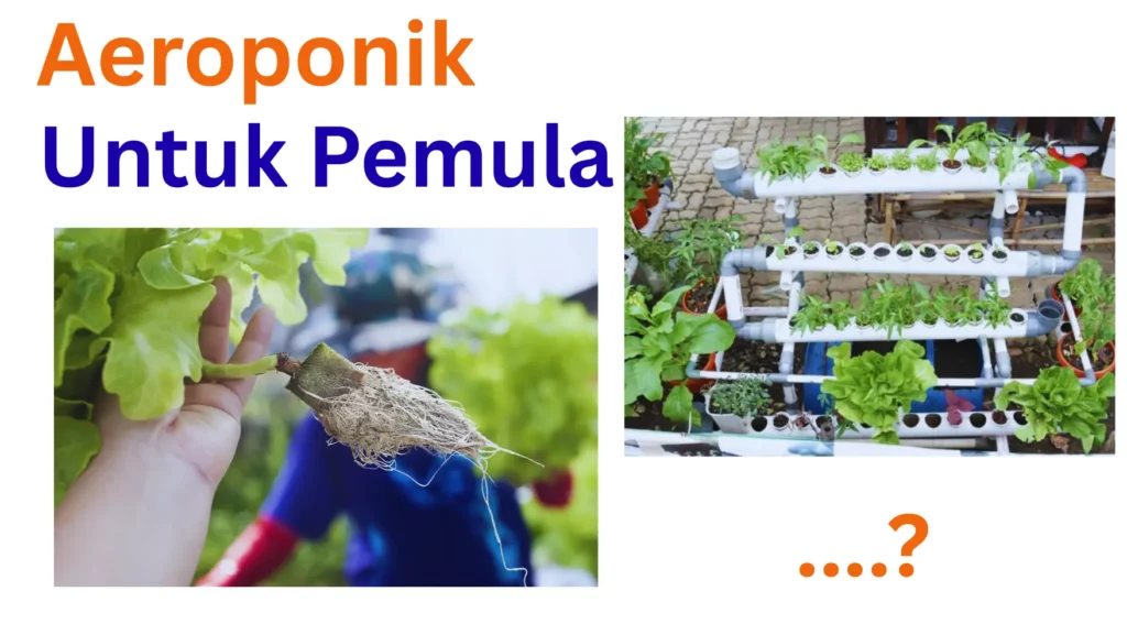 Aeroponik untuk pemula - sma1banda.sch.id