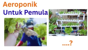 Aeroponik untuk pemula - sma1banda.sch.id